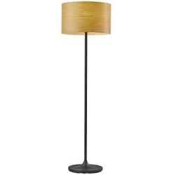 Adesso 6237-12 Oslo Floor Lamp, Matte Black