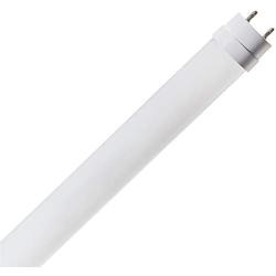 Amazon Basics 17 Watt 36,000 Hours 2100 Lumens LED T8 Light Bulb - 4 Foot, Pack of 12, Daylight
