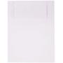 CheckOMatic Computer Check Paper - 100 Pack - Top Blank Stock Checks - Security Features & Laser Printer Compatible - Blue Red