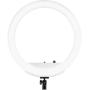 Westcott 18” Bi-Color LED Ring Light Kit with Batteries and Stand Professional Studio Continuous Lighting for Photography, Video Conferencing, and Video Production Westcott 18” Bi-Color LED Ring Light Kit with Batteries and Stand Professional Studio Continuous Lighting for Photography, Video Conferencing, and Video Production