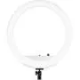 Westcott 18” Bi-Color LED Ring Light Kit with Batteries and Stand Professional Studio Continuous Lighting for Photography, Video Conferencing, and Video Production