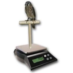 ZIEIS Digital Bird Scale | A63SS-NMP | Mounted Wooden T Perch | 1.0 Gram or 0.05 Ounce Accuracy | 3000 Gram or 96 Ounce Capacity | Stainless Steel Platform