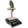 ZIEIS Digital Bird Scale | A63SS-NMP | Mounted Wooden T Perch | 1.0 Gram or 0.05 Ounce Accuracy | 3000 Gram or 96 Ounce Capacity | Stainless Steel Platform