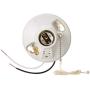 Leviton 9726-C2 One-Piece Glazed Porcelain Outlet Box Mount Incandescent Lampholder, Pull Chain, Top Wired, White