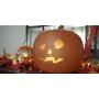 The Original Mindscope Jabberin Jack Talking Animated Pumpkin with Built in Projector & Speaker Plugn Play