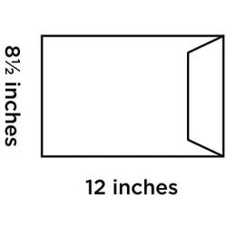 Blake Padded Bubble Mailer, 8 1/2 x 12 Inches, Protective Envelopes, Pumpkin Orange, Peel & Seal (MTPO305-76) - Pack of 100