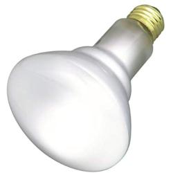 Satco Products S2817 120-Volt 65BR30 Flood Light Bulb, 2-Pack
