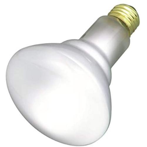 Satco Products S2817 120-Volt 65BR30 Flood Light Bulb, 2-Pack