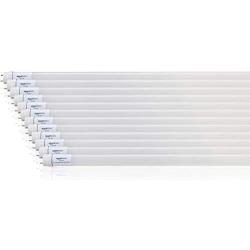 Amazon Basics 17 Watt 36,000 Hours 2100 Lumens LED T8 Light Bulb - 4 Foot, Pack of 12, Daylight