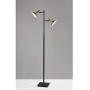 Adesso 4264-01 Lucas Floor Lamp with Smart Switch, 65 in, 2 x 6W Integrated LED, Black/Antique Brass, 1 Tree Lamp