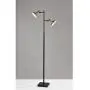 Adesso 4264-01 Lucas Floor Lamp with Smart Switch, 65 in, 2 x 6W Integrated LED, Black/Antique Brass, 1 Tree Lamp