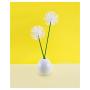 Q-tips Cotton Swabs, Original, 375 Count (Pack of 1)