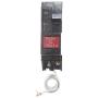 General Electric THQL1120GF Ground Fault Circuit Breaker, 1-Pole, 20-Amp, 120V