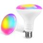 Smart Light Bulb,13W E27 RGB Color Changing LED WiFi Light Bulb Equivalent 100W,1300LM BR30 Compatible with Alexa and Google Home 2900K-6000K,No Hub Required,TECKIN 2 Pcs(Not Support 5G WiFi)