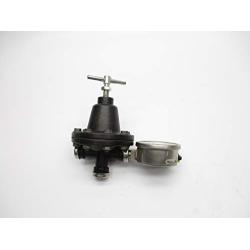 GRACO 236449 100PSI NSNP