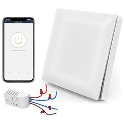 Wireless Switch Kit Amysen : WiFi Remote Control Light Switch and Receiver No Battery No Wiring, Compatible with Alexa and Google Assistant & IFTTT, ETL Certified, Only Supports 2.4GHz Network