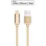 LAX iPhone Charger Lightning Cable - MFi Certified Durable Braided Apple Lightning USB Cord for iPhone 11/11 Pro Max/XS Max/X/iPad, iPod & More