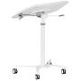 Techni Mobili RTA-B008-WHT Laptop Cart, White
