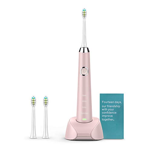 Hanasco Sonic Electric Toothbrush Rechargeable for Adults, 4 Modes with Build in 2 Mins Timer, 3 Brush Heads Included, Whitening Clean 4 Hours Charge for 30 Days Use, Soft Bristles, 38,000 VPM Pink