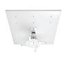 Amer Networks Ceiling Mount for Projector, Electronic Equipment AMRDCP100KIT