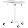 Techni Mobili RTA-B008-WHT Laptop Cart, White
