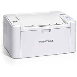Wireless Black and White Laser Printer with Mobile Printing for Home Use and School Student, Pantum P2502W