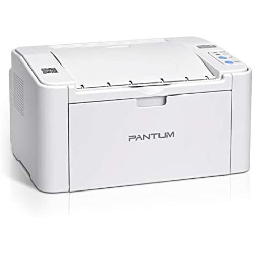 Wireless Black and White Laser Printer with Mobile Printing for Home Use and School Student, Pantum P2502W
