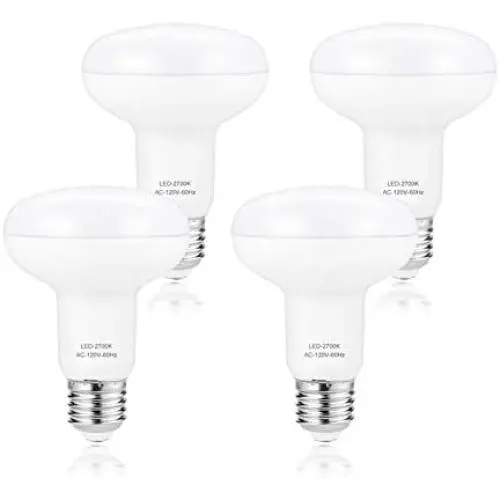 Flood Light Bulb, E26 Base, BR25 LED Bulb for Indoor/Outdoor Downlight Recessed Can Light, Dimmable, 9W=75W, 2700K Warm White Bulb, 900LM, 4-Pack