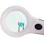 GemOro iView LED Magnifier with Built-In Light, White