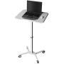 Techni Mobili RTA-B008-WHT Laptop Cart, White