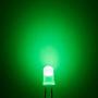 Chanzon 100 pcs 5mm Green Diffused LED Diode Lights (Frosted Lens Round DC 3V 20mA) Lighting Bulb Lamps Electronics Components Indicator Light Emitting Diodes