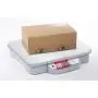Ohaus - 83998139 Catapult C11P75 Compact Precision Bench Scale, 75kg Capacity, 0.05kg Increments, ABS Plastic