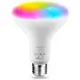 TECKIN Smart Light Bulb, LED RGB Color Changing, E27 100W 1300LM Equivalent Compatible with Alexa and Google Home, 2900K-6000K BR30 WiFi Light Blubs(13W), 1 Pack