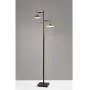Adesso 4264-01 Lucas Floor Lamp with Smart Switch, 65 in, 2 x 6W Integrated LED, Black/Antique Brass, 1 Tree Lamp