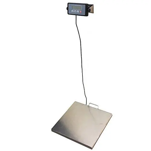 Angel USA 400 Pound Physician Digital Scale Body Weight Doctor Weighing Balance for Office, Home, Gym Angel USA 400 Pound Physician Digital Scale Body Weight Doctor Weighing Balance for Office, Home, Gym