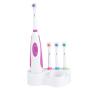 Electric Toothbrush Battery Power Round Brush Head Travel Electronic Whitening Cleaning Tooth Oral Care 3 Replacement Heads(Purple)