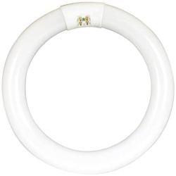 Feit Electric FC8/840/LED 22W Equivalent 1400 Lumen Non Dimmable T9 Linear 8 Inch Circular LED Light Bulb 4000K 4PIN, 8.25''D, 4100K (Cool White)