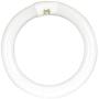 Feit Electric FC8/840/LED 22W Equivalent 1400 Lumen Non Dimmable T9 Linear 8 Inch Circular LED Light Bulb 4000K 4PIN, 8.25''D, 4100K (Cool White)