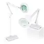 Brightech LightView Pro 2 in 1 XL Magnifying Floor Lamp - Very Bright LED Light with Full Page Magnifier Glass for Pro Tasks, Reading, Crafts & Hobbies - Converts from Standing to Table Lamp