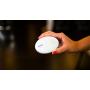 Roost Smart Water and Freeze Detector