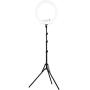 Westcott 18” Bi-Color LED Ring Light Kit with Batteries and Stand Professional Studio Continuous Lighting for Photography, Video Conferencing, and Video Production Westcott 18” Bi-Color LED Ring Light Kit with Batteries and Stand Professional Studio Continuous Lighting for Photography, Video Conferencing, and Video Production