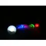 Fortune Products FB-1W Fairy Berries Magical LED Light, 3/4'' Diameter, White (Case of 10)