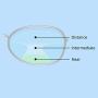 SUNERVE Progressive Multifocal Reading Glasses Readers Women 1.0-3.5 Multifocus Plastic Spring Hinges