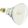 Satco Products S4999 250R40 Medium Base 1 Clear Heat Lamp