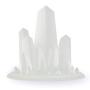 ELEGOO 3D Rapid Resin LCD UV-Curing Resin 405nm Standard Photopolymer Resin for LCD 3D Printing Translucent 1000g