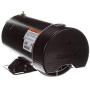 2 hp 3450 RPM 48Y Frame 115/230V Pool / Spa Electric Motor Century # BN40SS