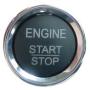 EasyGO AM-GMT-316N Smart Key Remote Start and Alarm System with Gold Mist Metallic Door Handle
