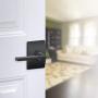Schlage F10 LAT 622 CEN Century Collection Latitude Passage Lock Lever, Matte Black
