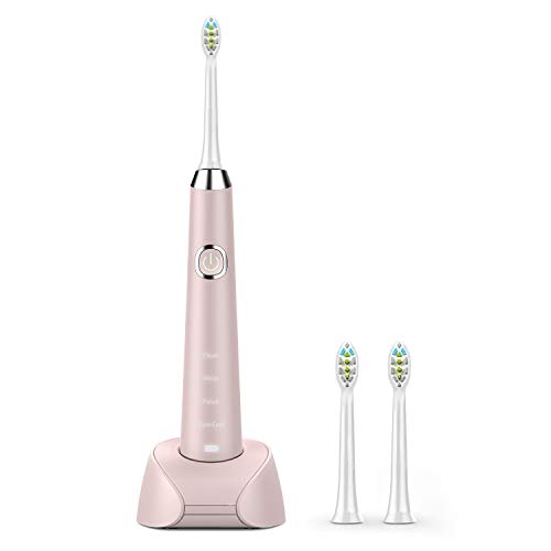 Hanasco Sonic Electric Toothbrush Rechargeable for Adults, 4 Modes with Build in 2 Mins Timer, 3 Brush Heads Included, Whitening Clean 4 Hours Charge for 30 Days Use, Soft Bristles, 38,000 VPM Pink