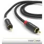 FosPower (2 Pack) 2 RCA M/M Stereo Audio Cable [24K Gold Plated | Copper Core] 2RCA Male to 2RCA Male [Left/Right] Premium Sound Quality Plug - 3FT